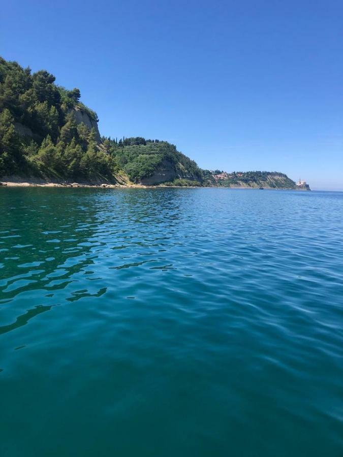 Apartmaji V Izoli Babic, Simonov Zaliv Izola